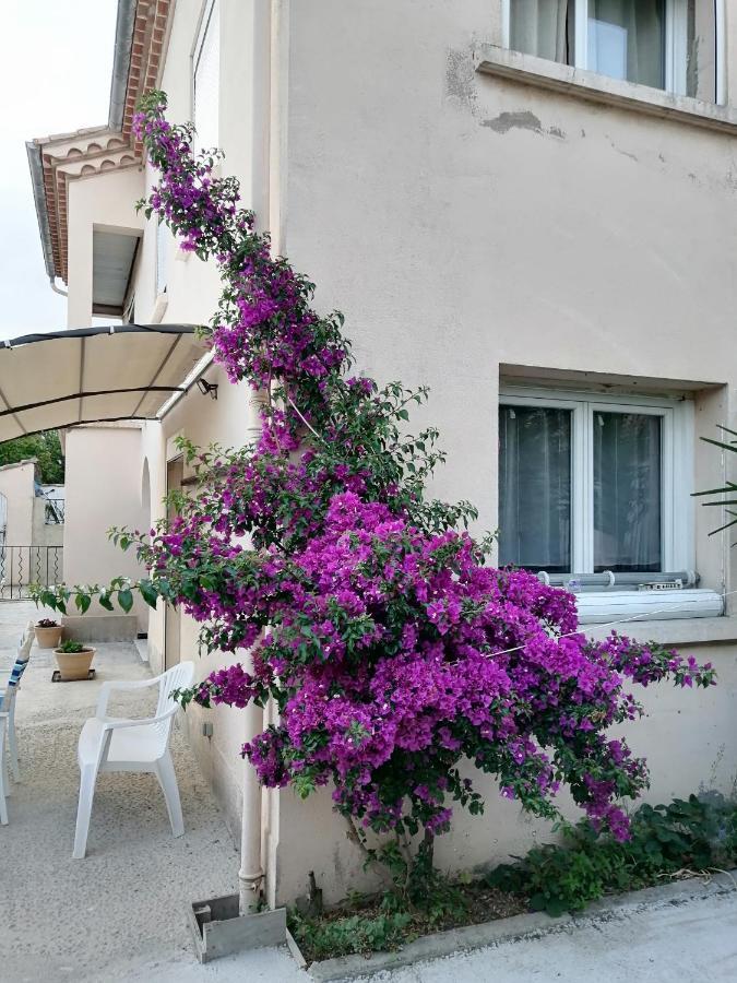 La Maison De 6Fran Appartement 2 Chaleureux Et Calme Ambiance Familiale Valros Esterno foto
